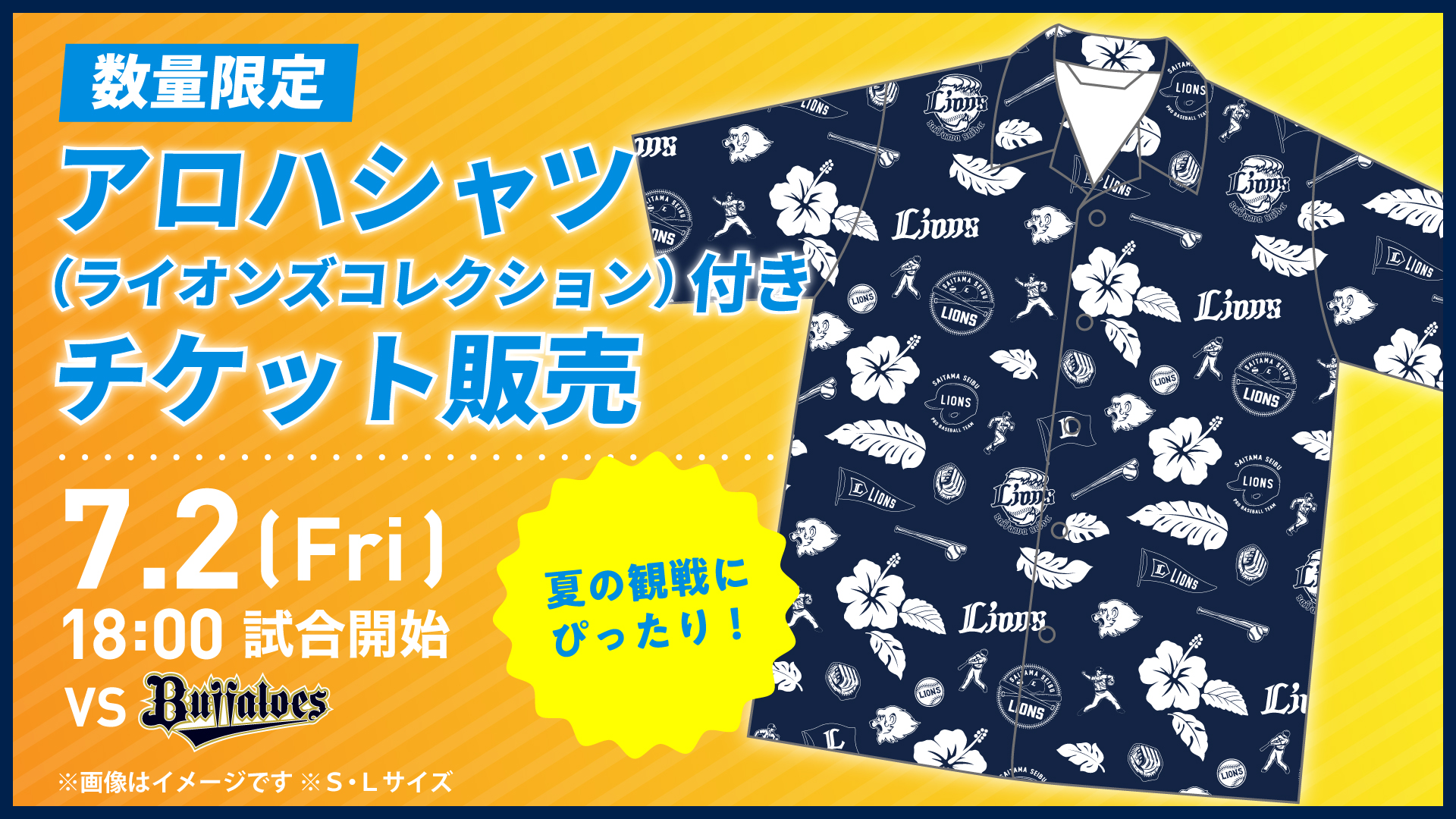 ここに画像が入ります