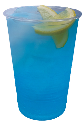 浜のブルートニック