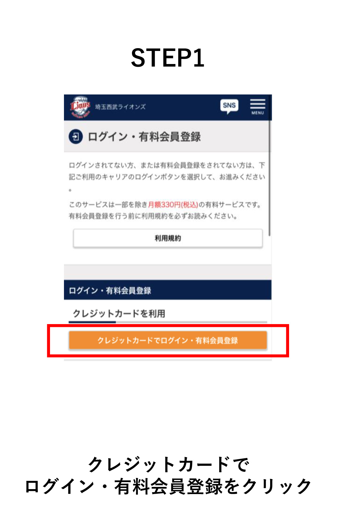 【交渉OK】埼玉西武ライオンズファンクラブカード 2017年 コンプリート Amazon.co.jp: 埼玉西武ライオンズ 金子侑司 ファンクラブカード