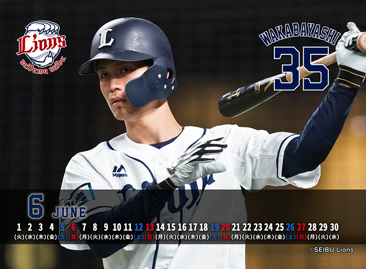 ここに画像が入ります