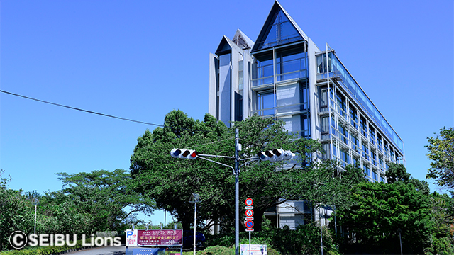 ここに画像が入ります