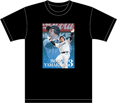 ここに画像が入ります