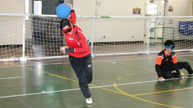 ここに画像が入ります