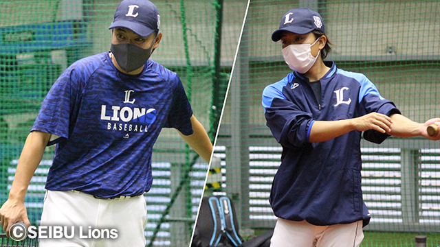 ここに画像が入ります