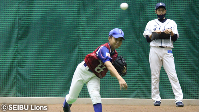 ここに画像が入ります