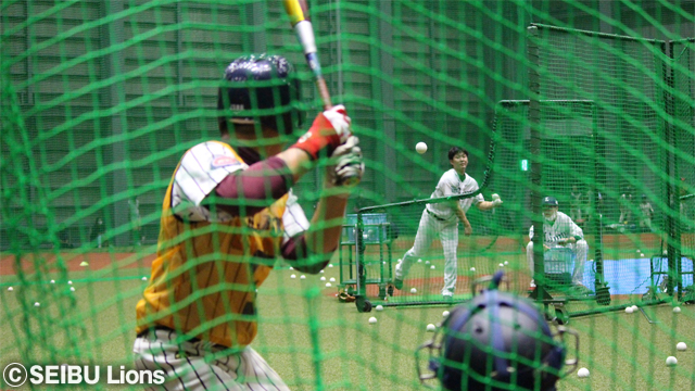 ここに画像が入ります