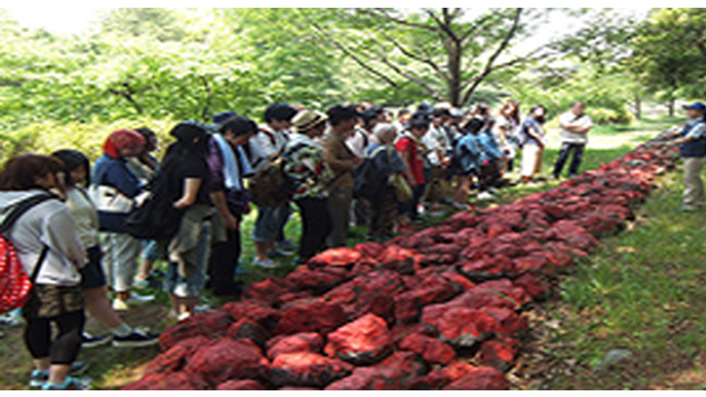 ここに画像が入ります