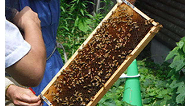 ここに画像が入ります