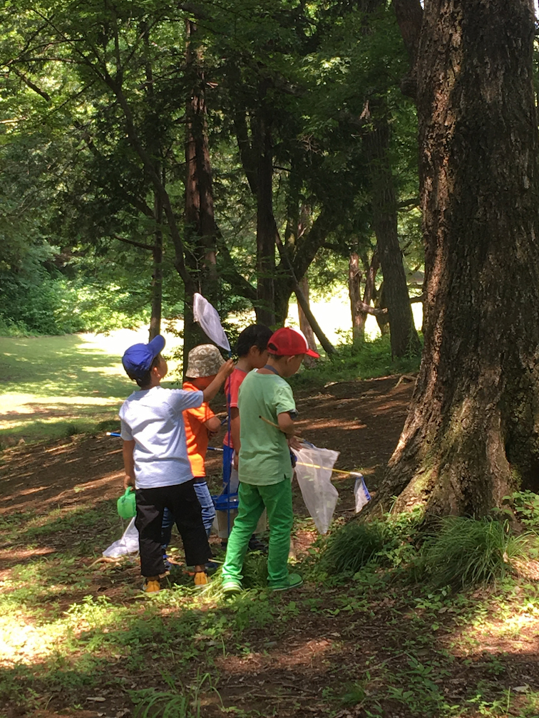 ここに画像が入ります