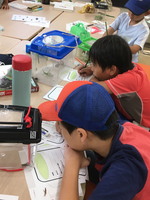 ここに画像が入ります