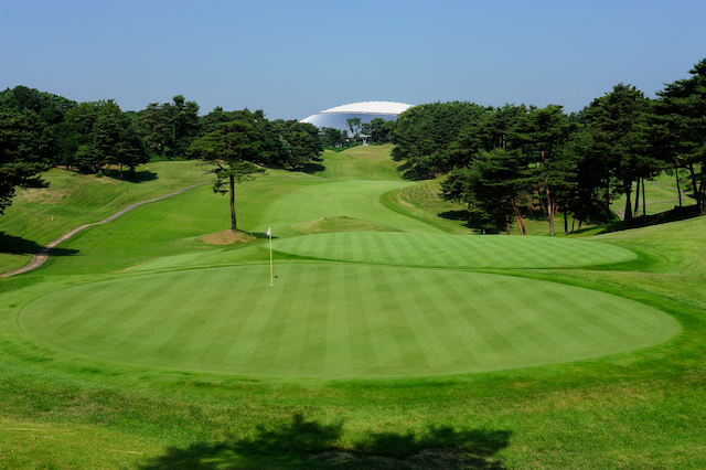 ここに画像が入ります