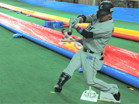 ここに画像が入ります