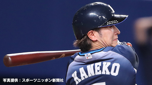 ここに画像が入ります