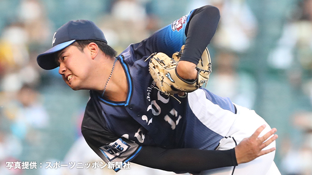 ここに画像が入ります