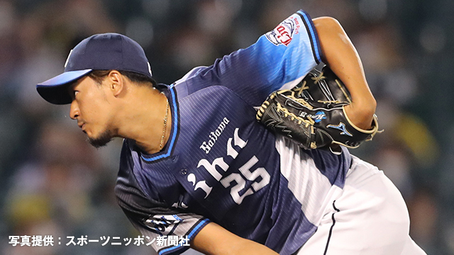 ここに画像が入ります