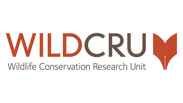 ここに画像が入ります