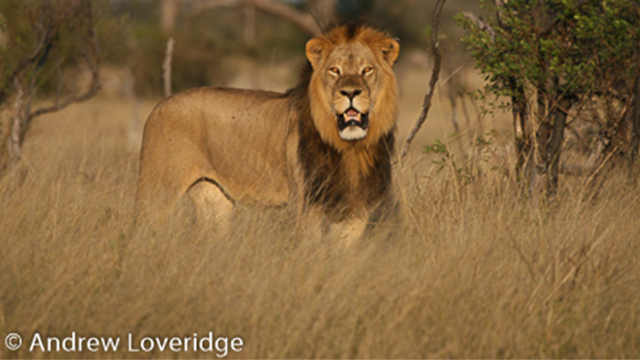 ここに画像が入ります