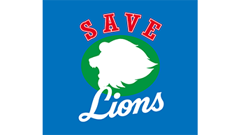 ここに画像が入ります