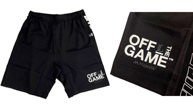 ここに画像が入ります