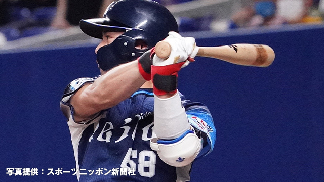 ここに画像が入ります