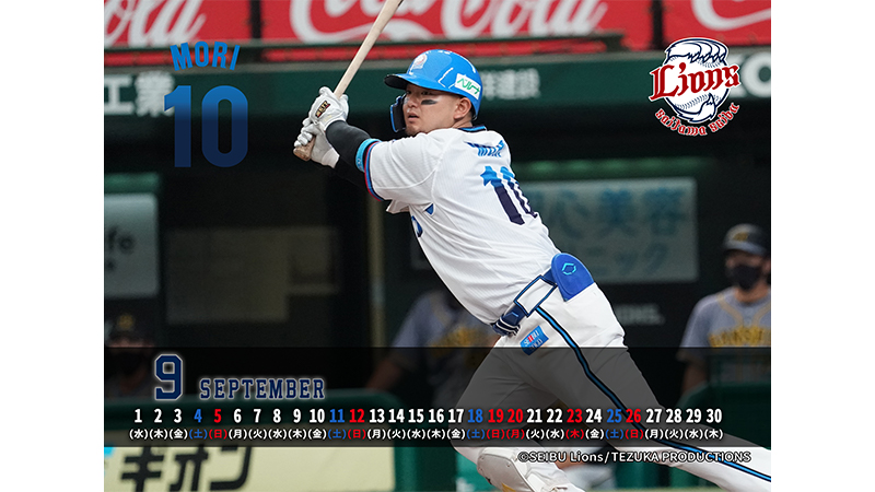 ここに画像が入ります