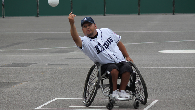 ここに画像が入ります