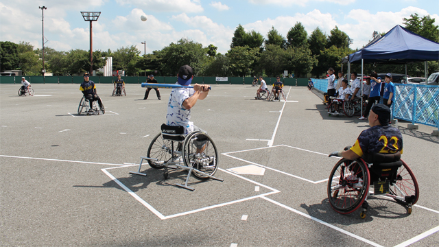 ここに画像が入ります