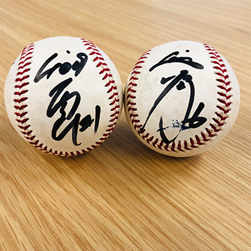 ここに画像が入ります