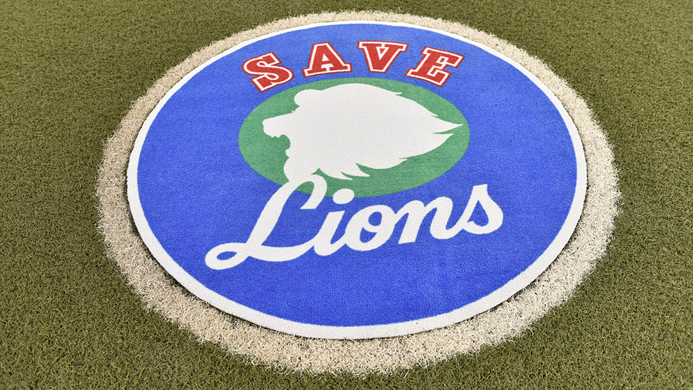 ここに画像が入ります