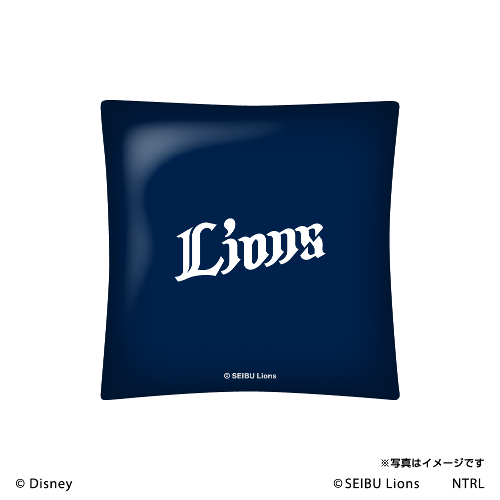 ここに画像が入ります