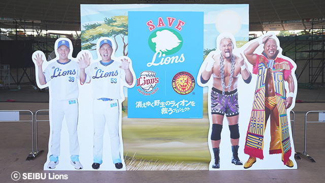 ここに画像が入ります