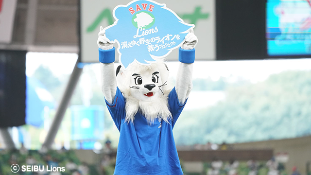 ここに画像が入ります