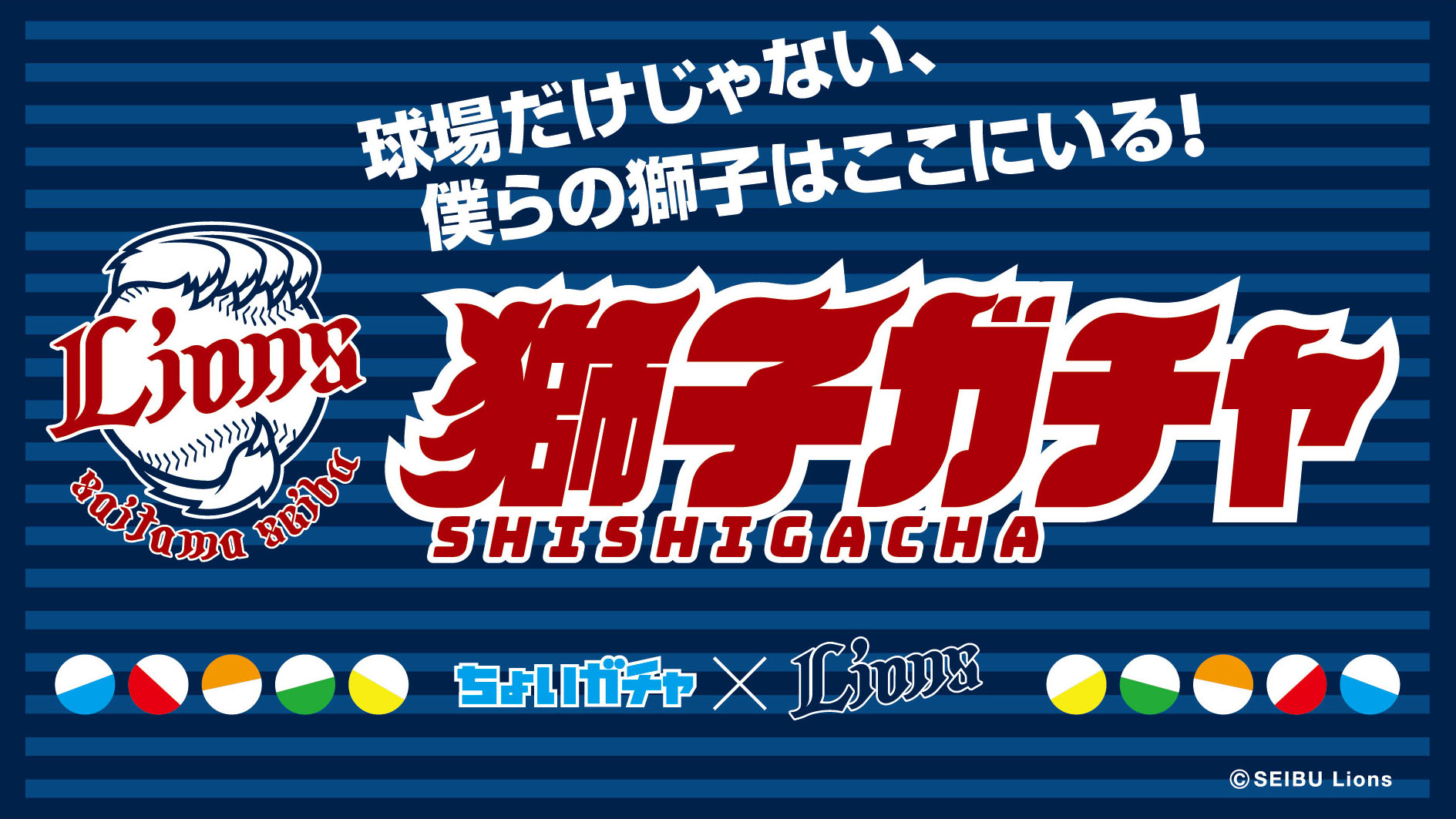 ここに画像が入ります