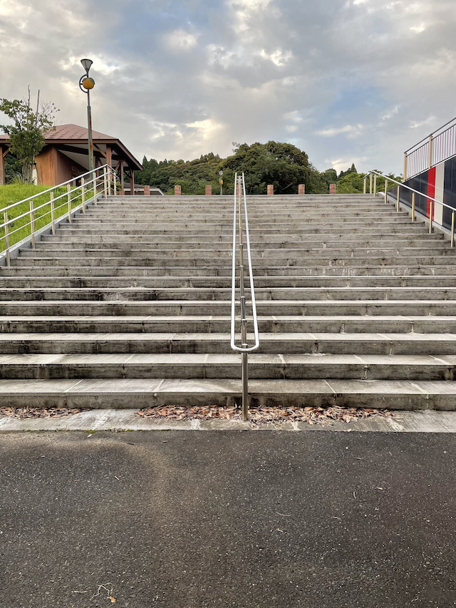 ここに画像が入ります