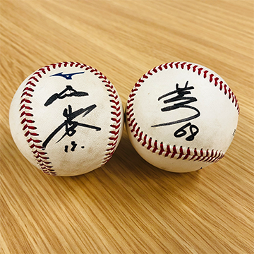 ここに画像が入ります