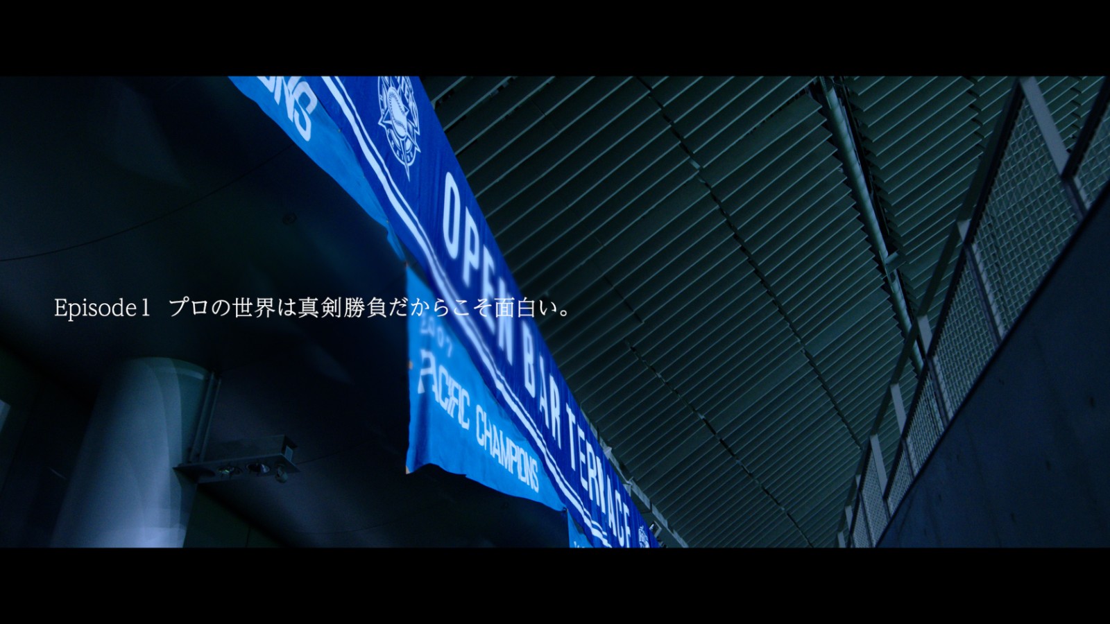 ここに画像が入ります