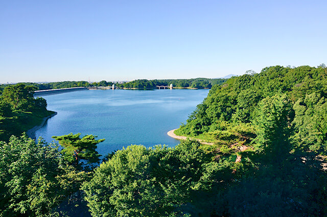 ここに画像が入ります