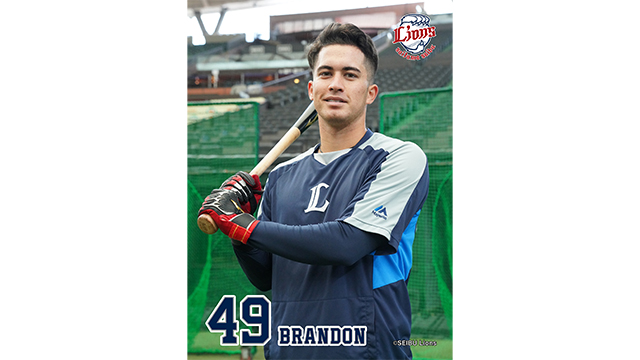 ここに画像が入ります