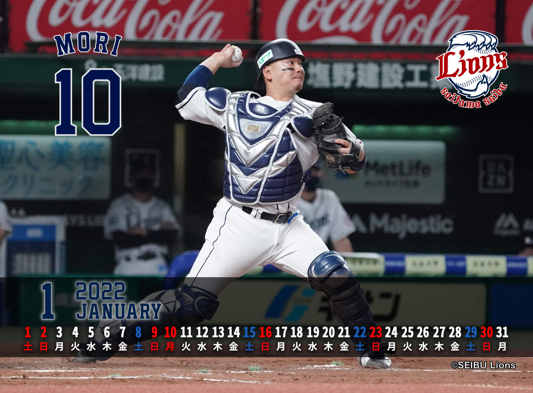 ここに画像が入ります