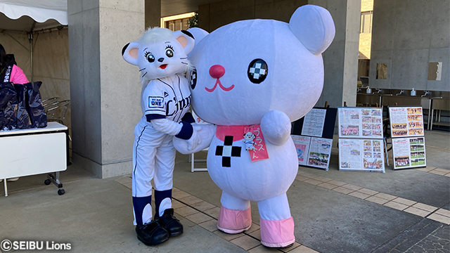 ここに画像が入ります