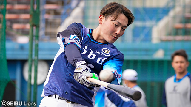 ここに画像が入ります