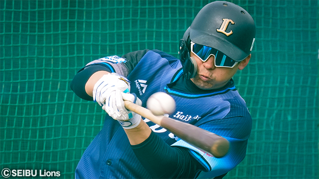 ここに画像が入ります