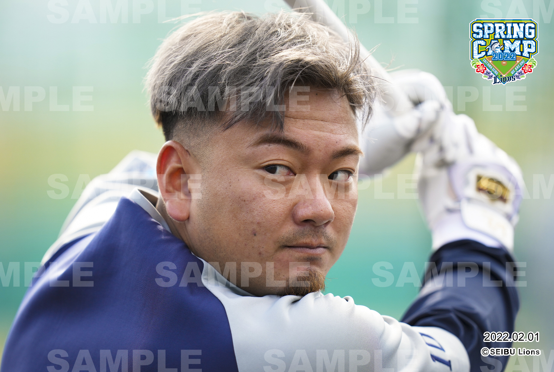 ここに画像が入ります