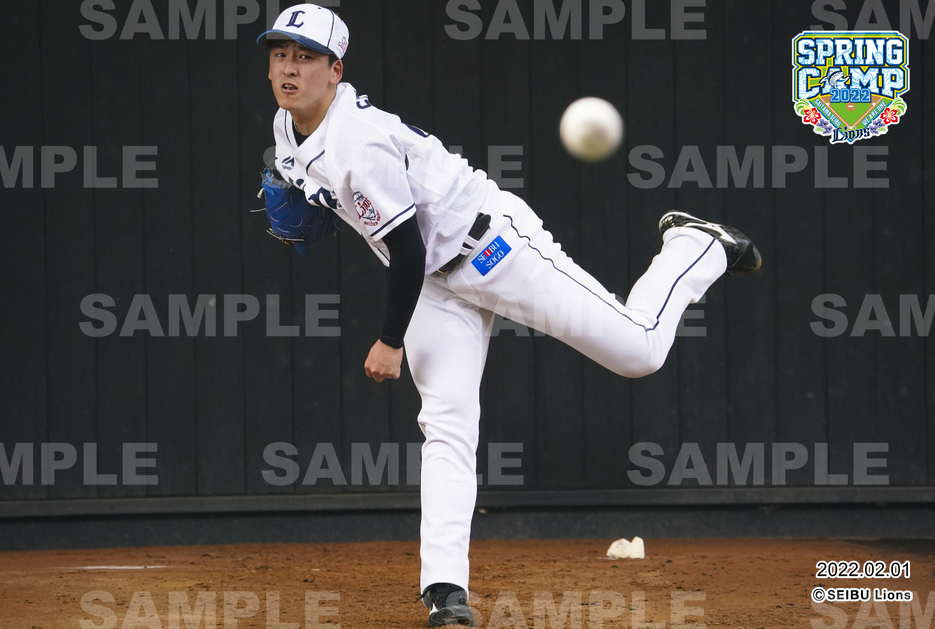 ここに画像が入ります