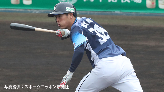  ここに画像が入ります