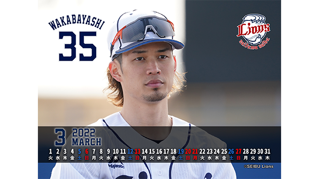 ここに画像が入ります