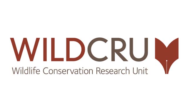 ここに画像が入ります