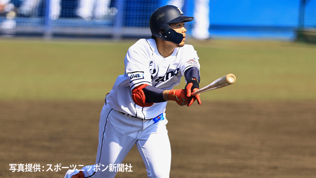 ここに画像が入ります