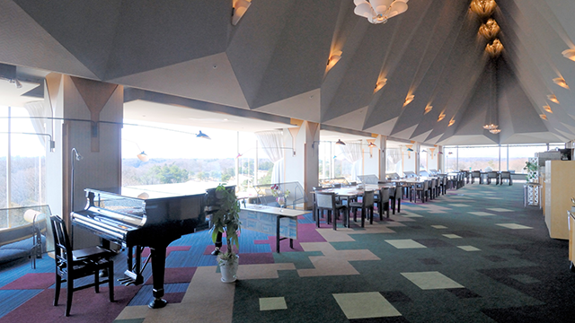 ここに画像が入ります