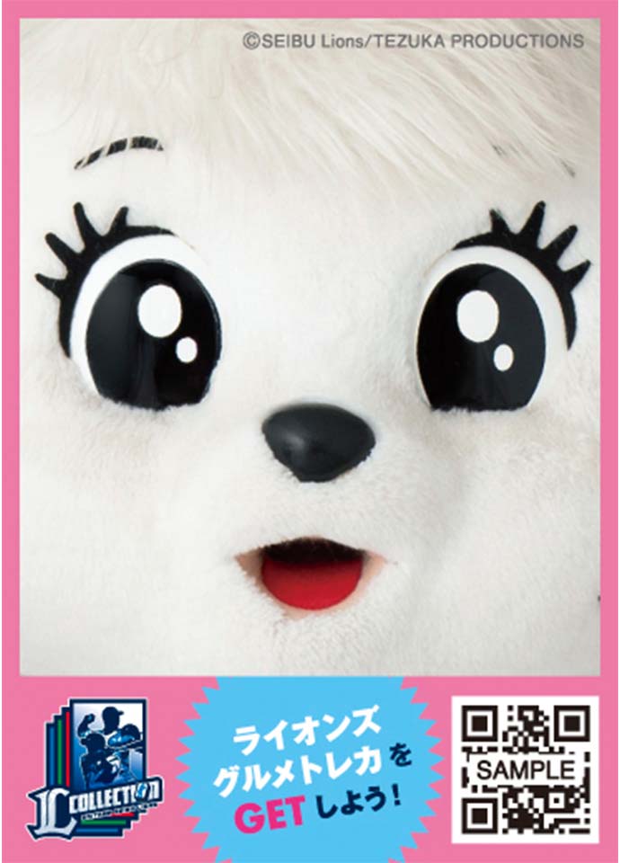 ここに画像が入ります